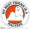 Maltese Decal