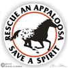 Appaloosa Decal