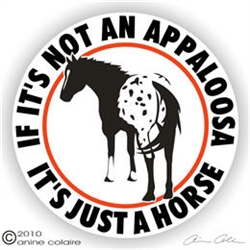 Appaloosa Decal