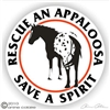 Appaloosa Decal