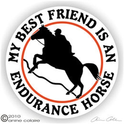 Endurance Horse Trailer Decal