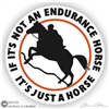 Endurance Horse Trailer Decal