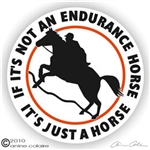 Endurance Horse Trailer Decal