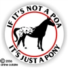 Pony of the Americas Decal