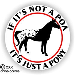 Pony of the Americas Decal