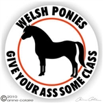 Welsh Pony Horse Trailer Decal