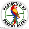 Macaw Decal