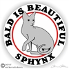 Sphynx Cat Decal