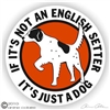 English Setter Decal