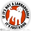 Labradoodle Decal