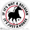 Belgian Draft Horse Trailer Decal