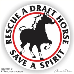 Belgian Draft Horse Trailer Decal