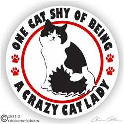 Black & White Kitty Window Decal