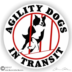 Border Collie Decal