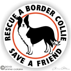 Border Collie Decal