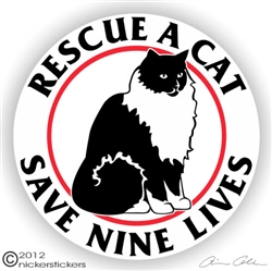 Ragdoll Cat Decal