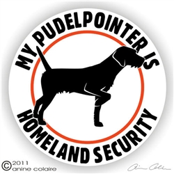 Pudelpointer Decal