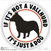 Swedish Vallhund Decal
