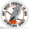 African Grey Decal