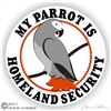 African Grey Decal