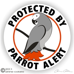 African Grey Decal