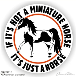 Mini Horse Pinto Vinyl Decal