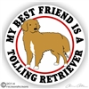 Nova Scotia Duck Tolling Retriever Dog Decals & Stickers | NickerStickers