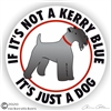 Funny Kerry Blue Terrier Dog Window Car Truck RV Decal Sticker