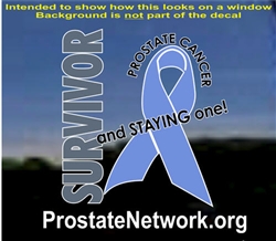 Prostate Network Window Decal Sticker