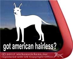 American Hairless Terrier Window Decal