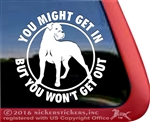 Cane Corso Dog Car Truck RV Window Decal Sticker