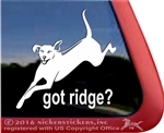 Rhodesian Ridgeback Window Decal