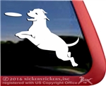 American Pit Bull Terrier Disc Frisbee Dog Car Truck RV Window Decal Sticker