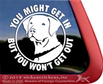 Chesapeake Bay Retriever Dog iPad Car Truck RV Window Decal Sticker