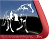 Overo American Paint Window Decal