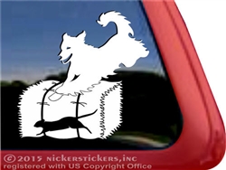 Golden Retriever Barn Hunt Dog Window Decal