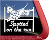 Dalmatian Agility Dog Car Truck RV Window Decal Sticker