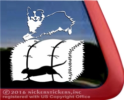 Miniature American Shepherd Barn Hunt Rat Dog Window Decal