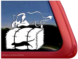 Border Collie Barn Hunt Dog Window Decal