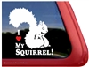 Squirrel Window Decal