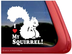 Squirrel Window Decal