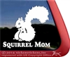 Squirrel Window Decal