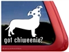 Got Chiweenie Dog iPad Car Truck RV Window Decal Sticker