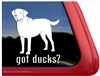 Chesapeake Bay Retriever Dog iPad Car Truck RV Window Decal Sticker