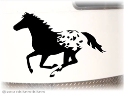 Appaloosa Window Decal