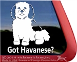 Got Havanese Vinyl Adhesive Window Dog Decal Sticker