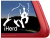 Australian Cattle Dog Window Decal