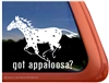 Appaloosa Leopard  Window Decal