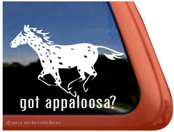 Appaloosa Leopard  Window Decal