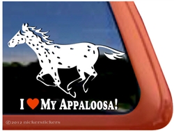 Appaloosa Leopard  Window Decal